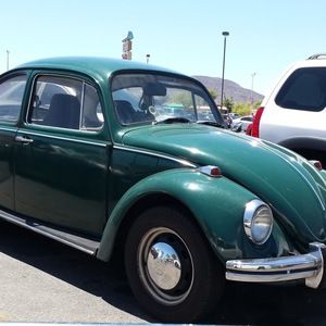 Meet your Posher, Gloria